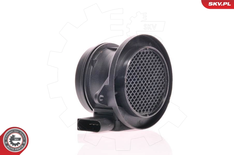 Mass Air Flow Sensor